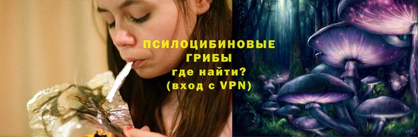 трава Зеленокумск