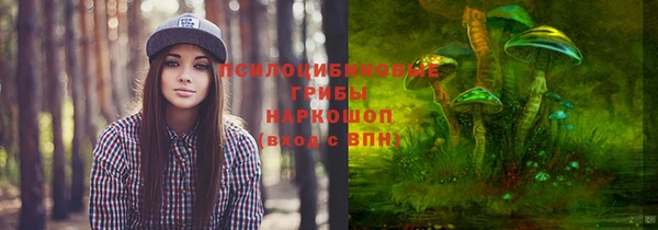 трава Зеленокумск