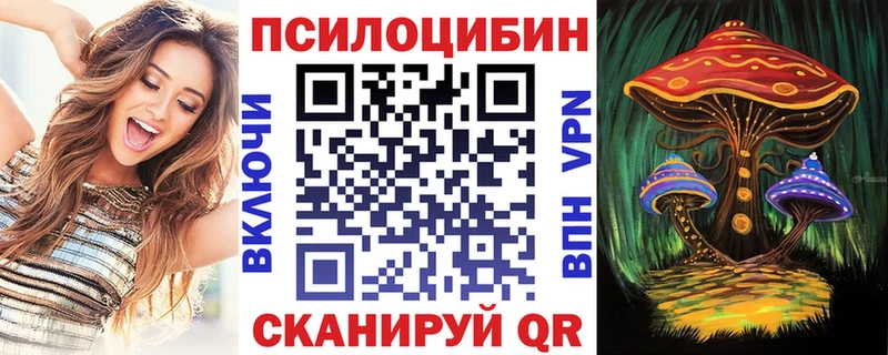 Галлюциногенные грибы GOLDEN TEACHER  Купить закладки  Торопец 